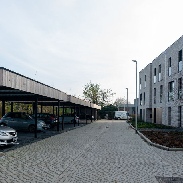 Spijbelveld